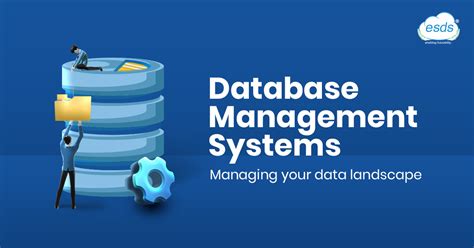 database management system app download.